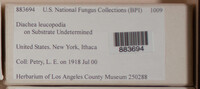Image Associated With the Occurence